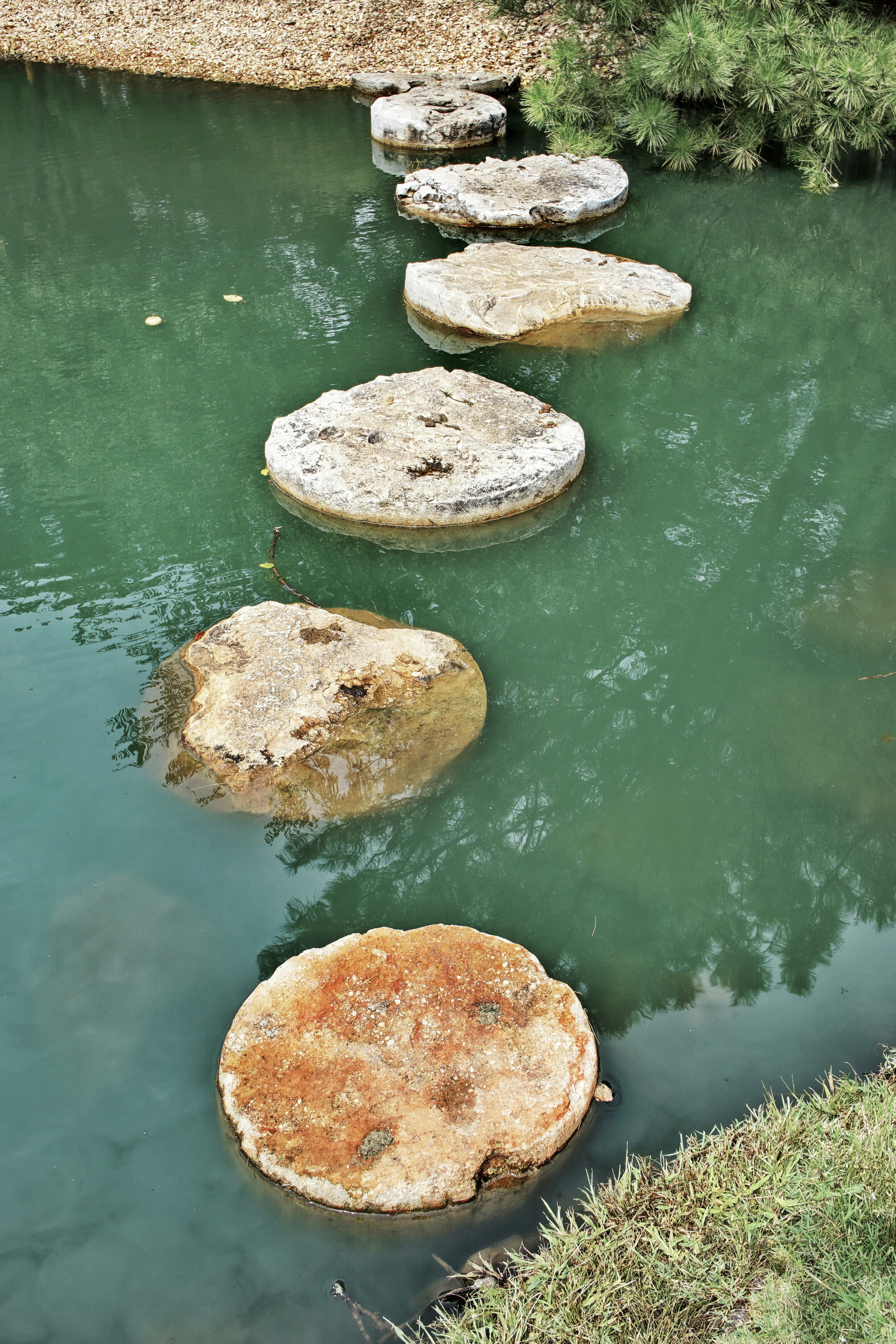 brown and white stone on water